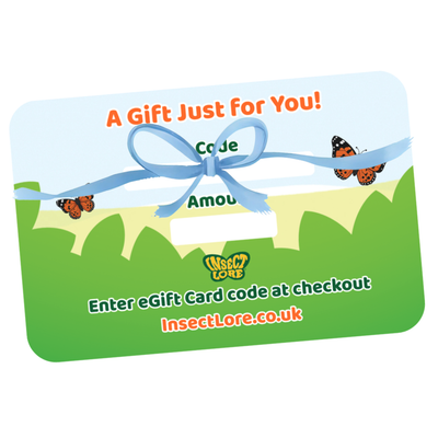Gift card with a blue ribbon and butterflies on a green background, featuring Insect Lore branding.