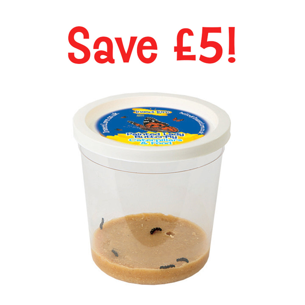 Special Price Cup of Caterpillars  - (Available March - Mid-September only)