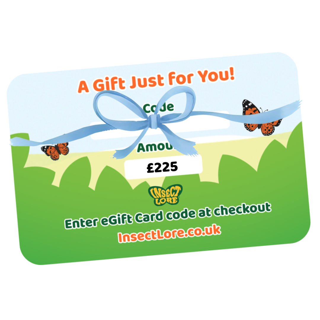 eGift Card