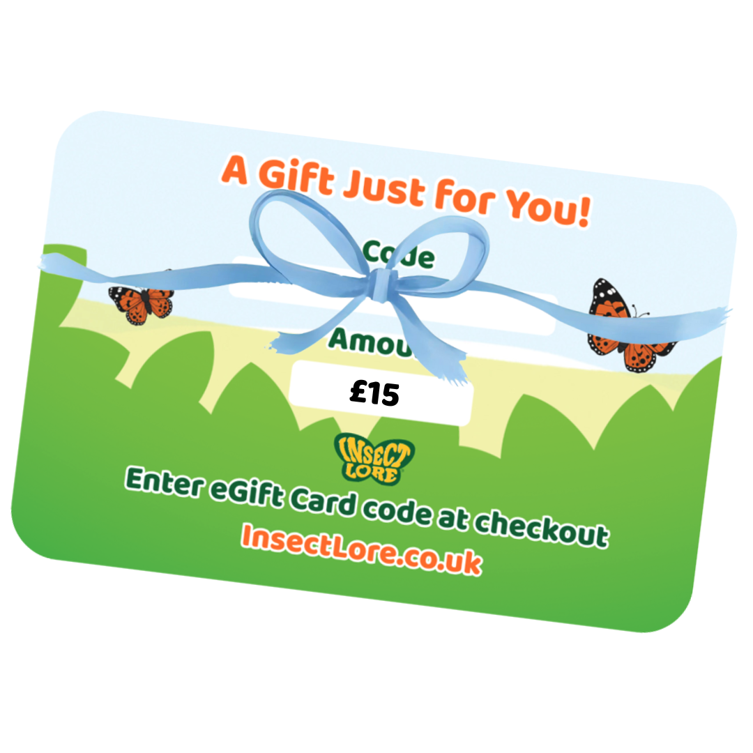 Insect Lore eGift card with a blue ribbon and butterflies on a white background