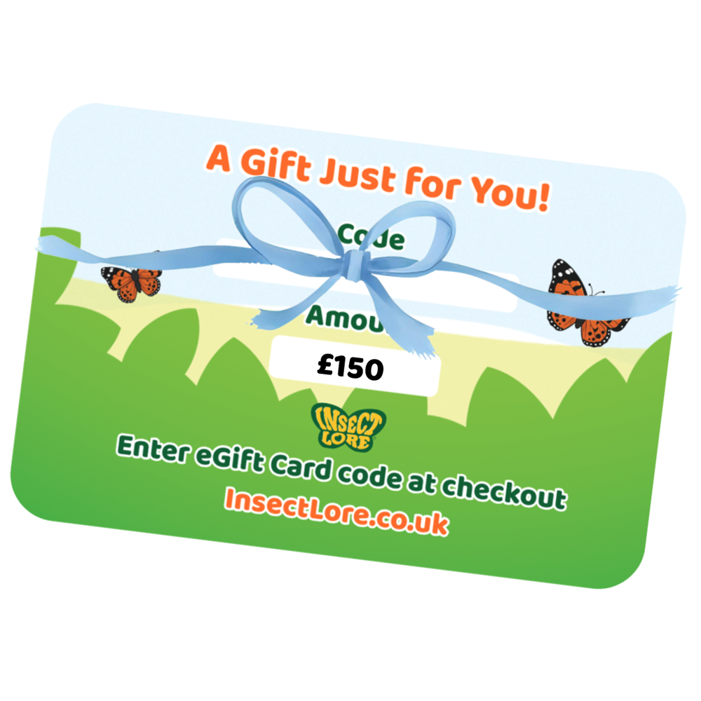 eGift Card