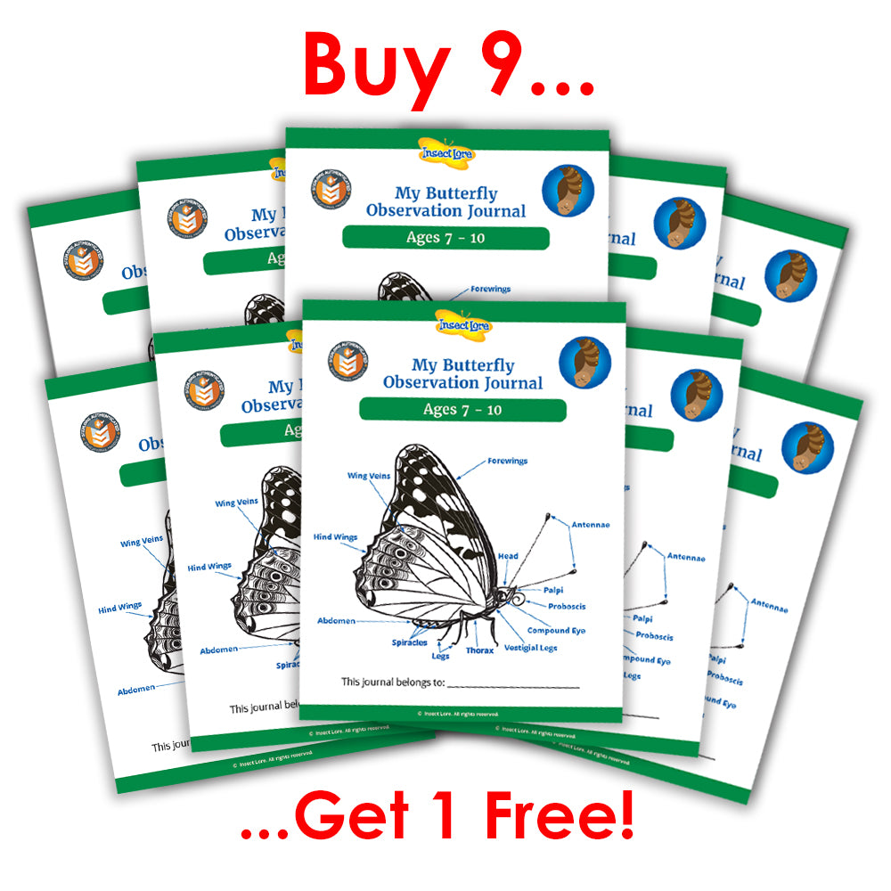 Mon journal d'observation des papillons (7-10 ans) 