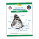 Mon journal d'observation des papillons (7-10 ans) 