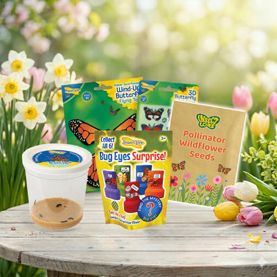 Spring Caterpillar Refill Bundle