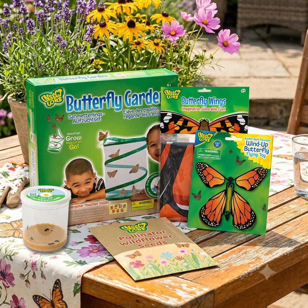 Summer Butterfly Garden Bundle