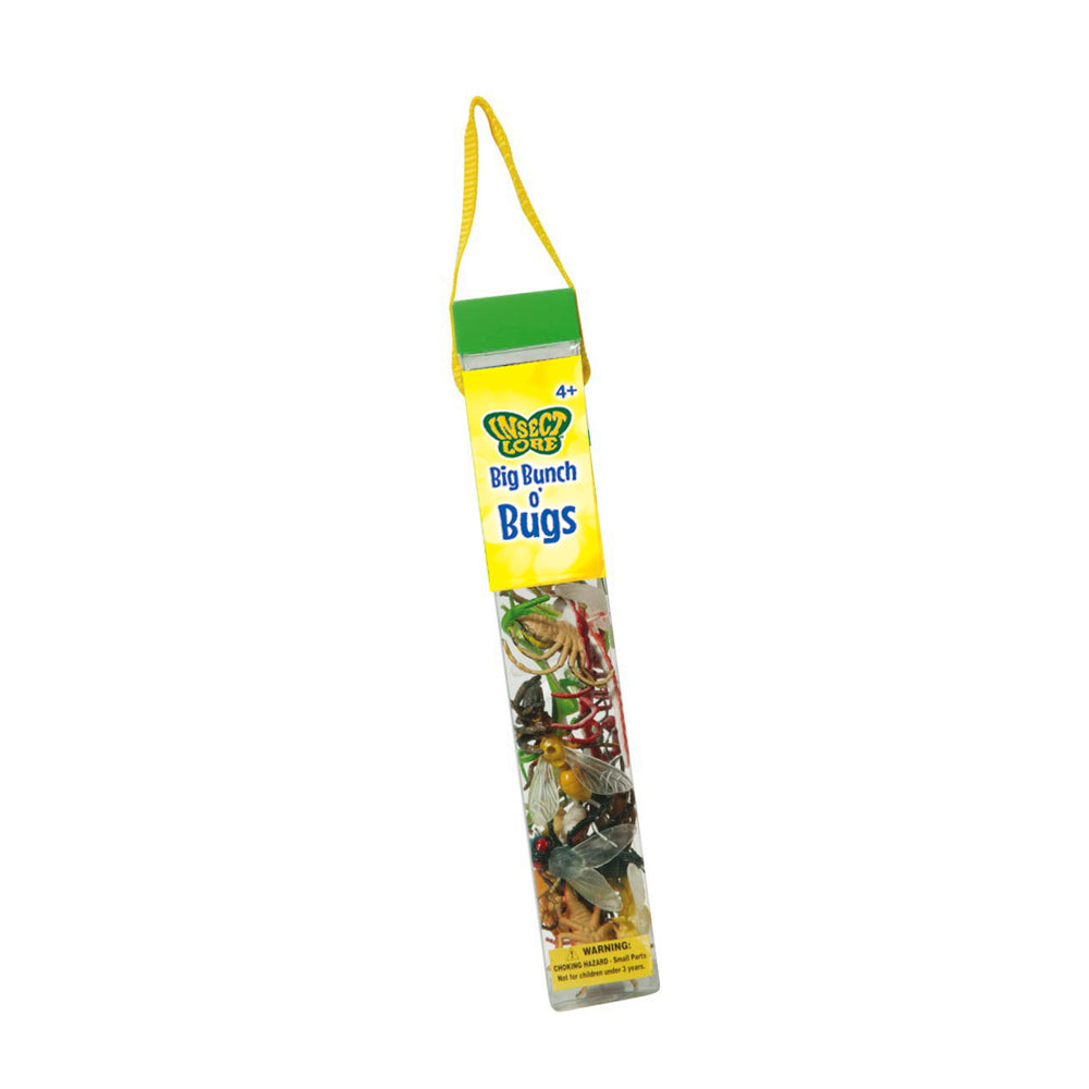 Bunch O' Bugs: 18 Realistic Plastic Insects for education and play ...