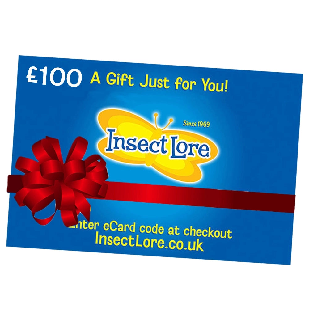 eGift Card