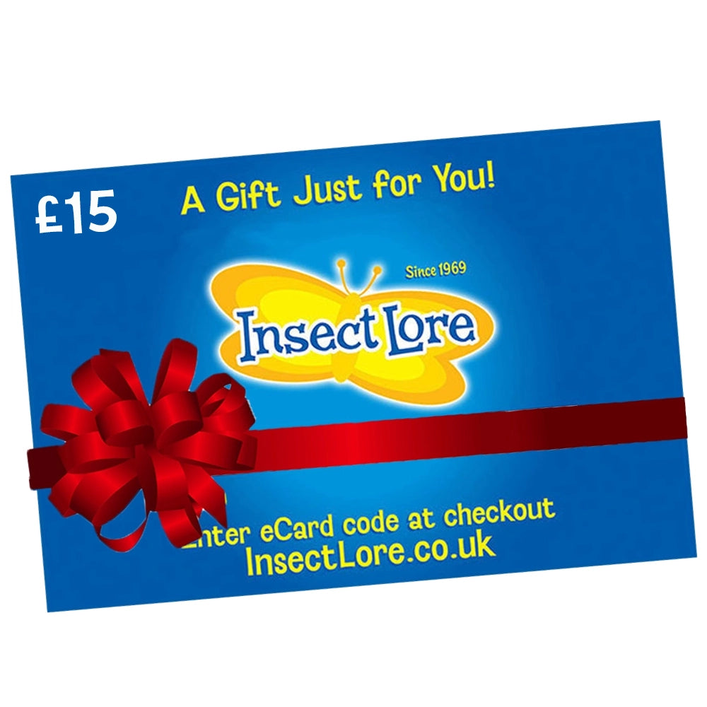eGift Card