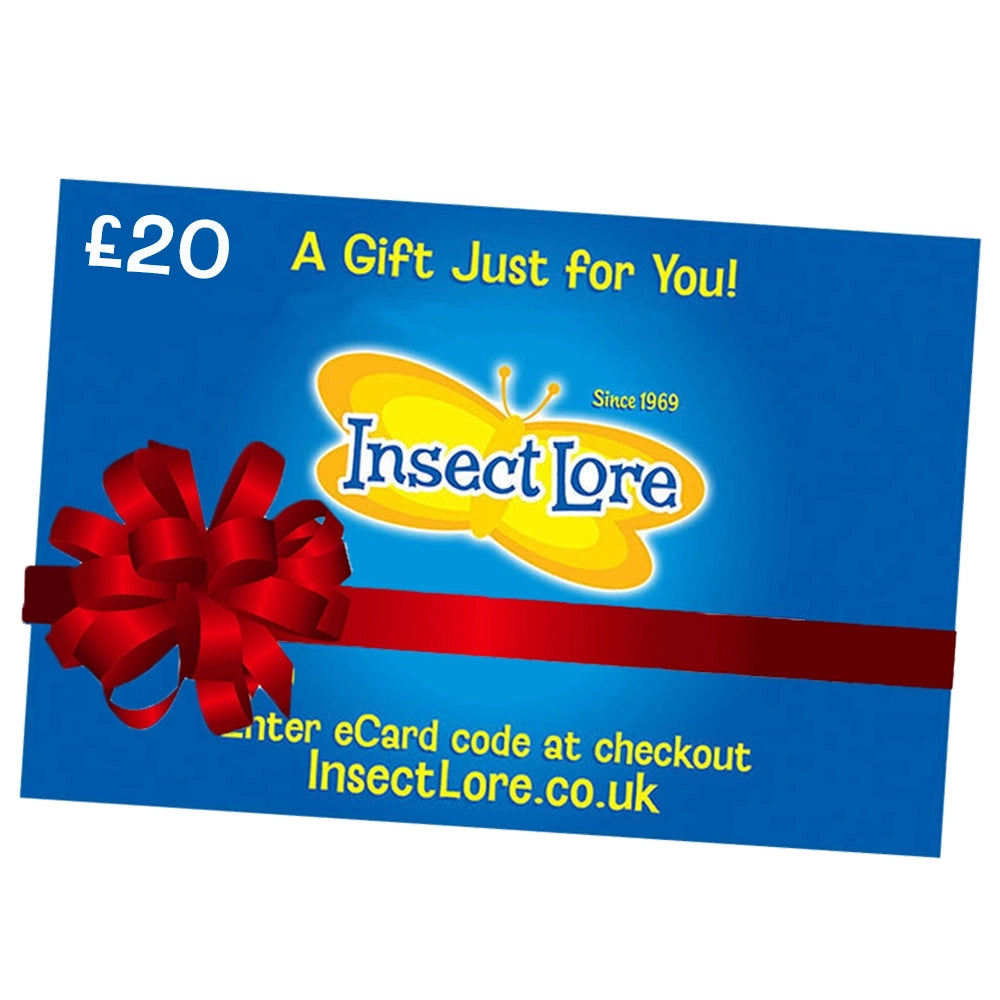 eGift Card