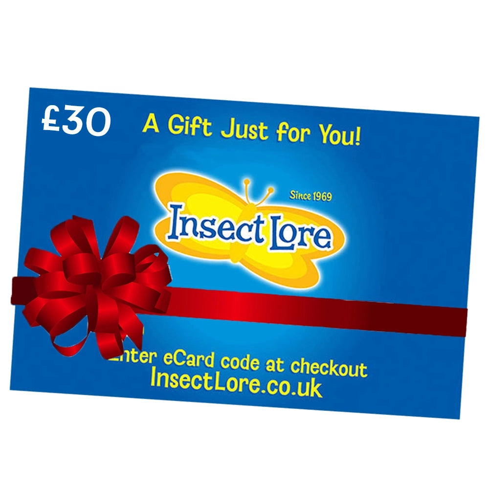 eGift Card