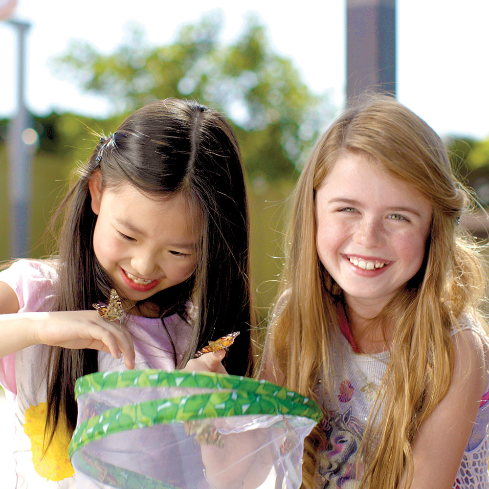 GIANT Butterfly Garden GIFT SET (6-10 Caterpillars)