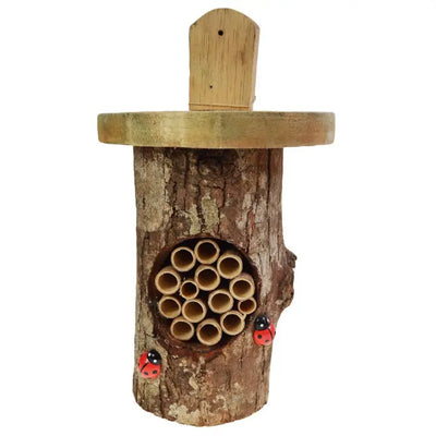 Ladybird and Insect Bug Hotel