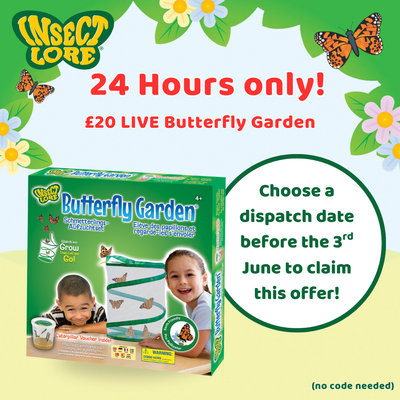 *24 Hour Special Offer - £20 Butterfly Garden*