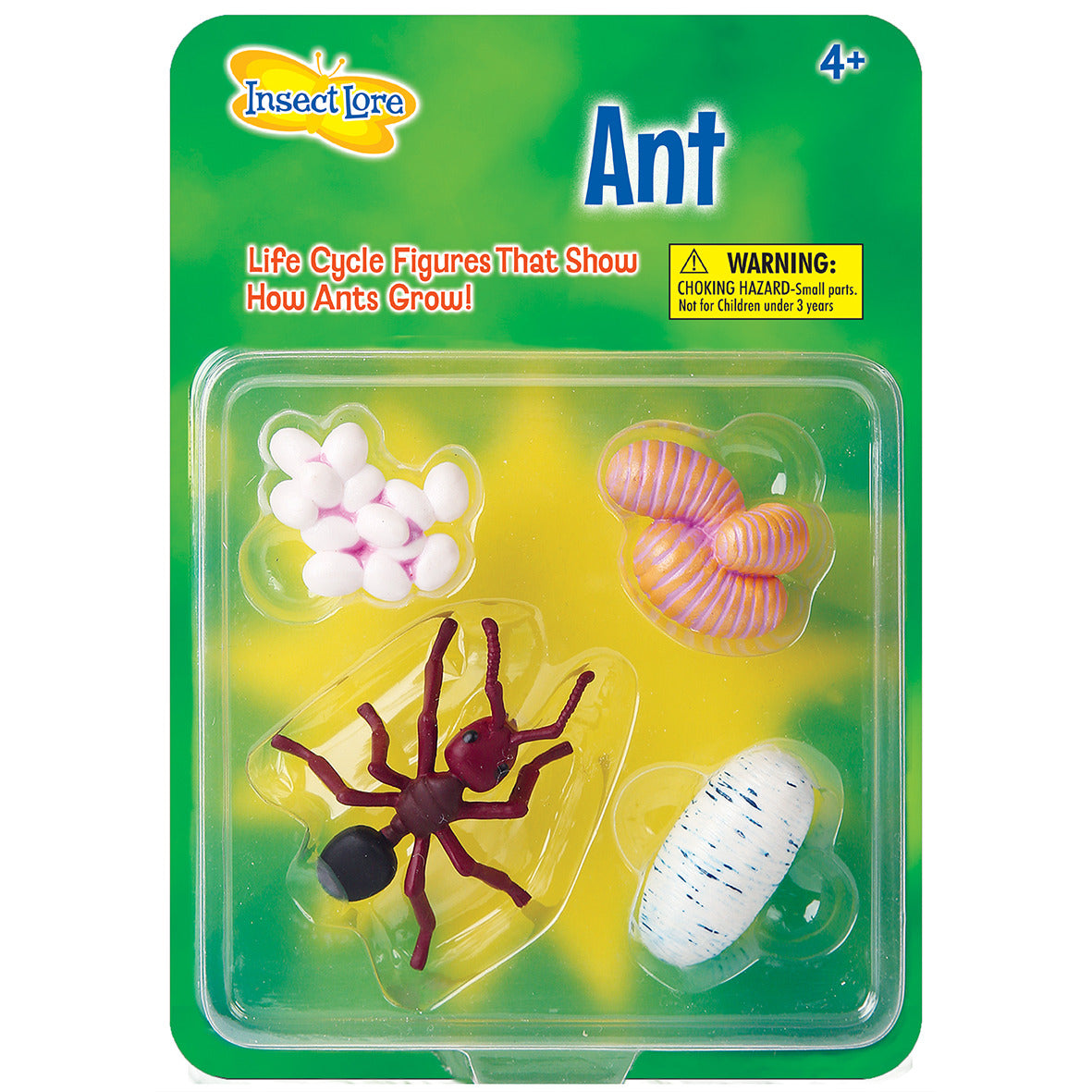 Ant Lifecycle stages. 4 figurines in packaging; Egg, Larvae, Pupa, Adult Ant. Plastic and oversized for little hands.