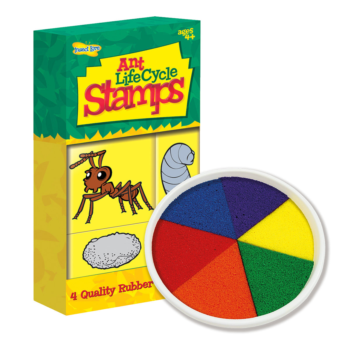 Ant Life Cycle Stamps