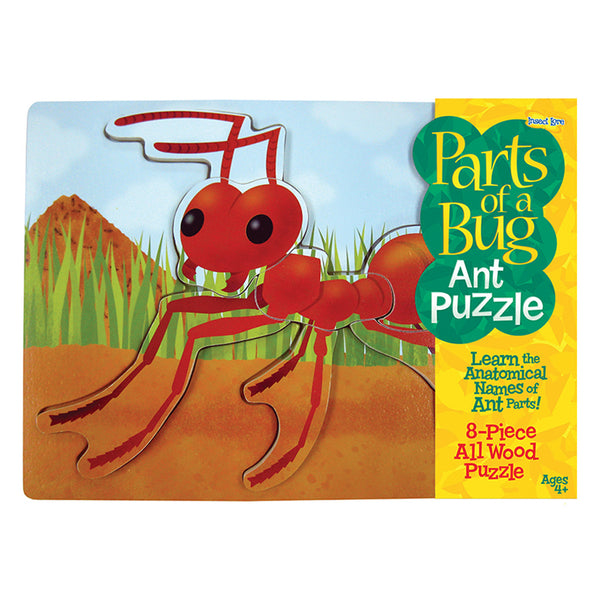 Ant Wooden Anatomy Puzzle – Learn While Having Fun - Insect Lore Europe