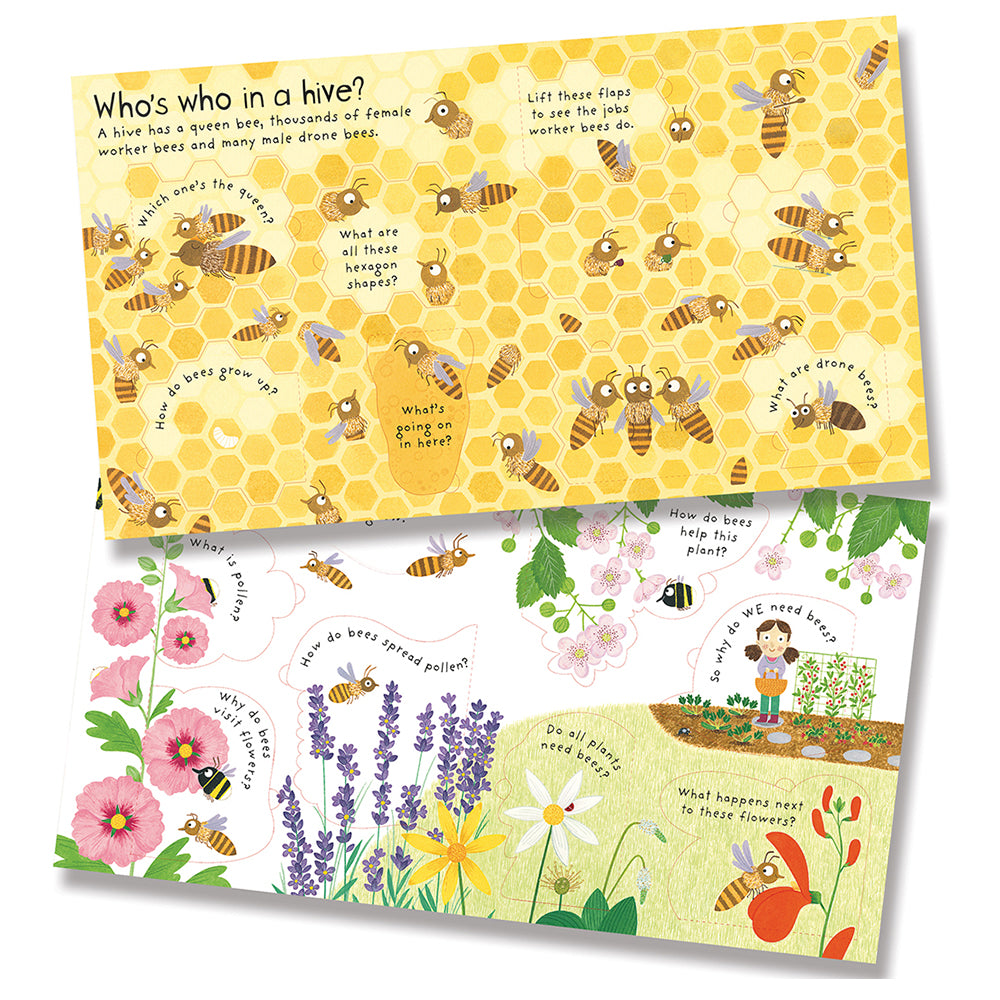 Pages of Why do we Need Bees? Lift the Flap book. Inside the Hive page with yellow honey comb background. Also the Why do we need bees pages with hand drawn cartoons of different species of plants. 