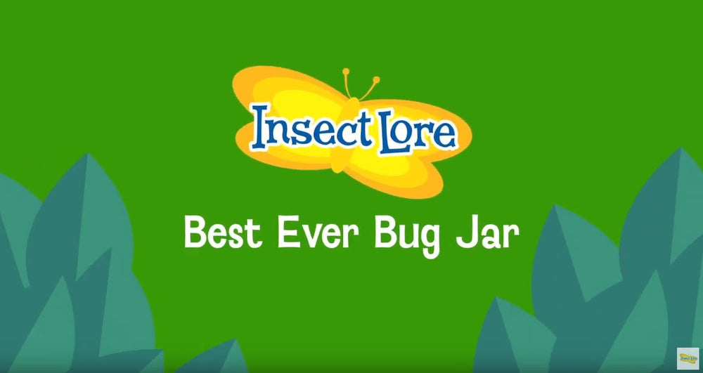 Best Ever Bug Jar Product Video