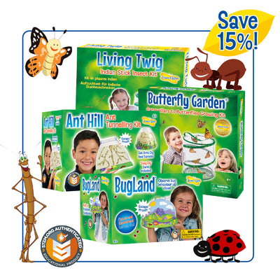 Hti Insects Pack Stick Insects - Insect Lore Europe