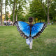 A young child with arms stretched out to the side running while wearing a cape in the shape of a Blue Morpho Butterfly.  Butterfly wings, blue, back, yellow and white