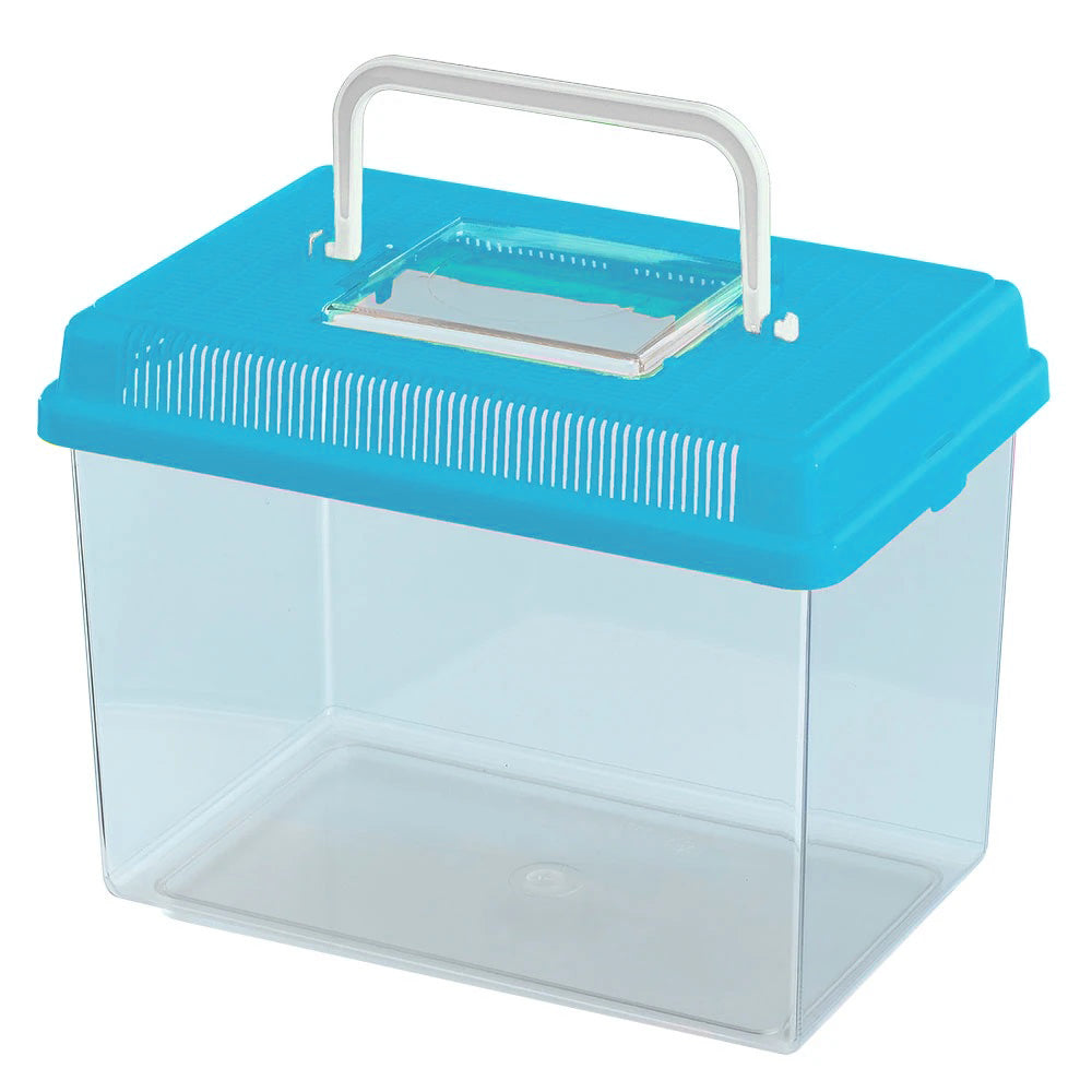 Observation House for bugs, insects, tadpoles and snails. Blue lid.