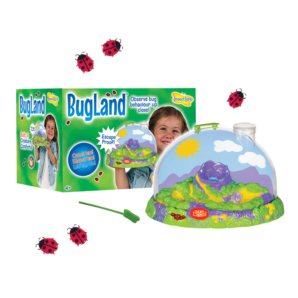 Exploror Cartoon Insects Insect Explorer Bundle - Insect Lore Europe