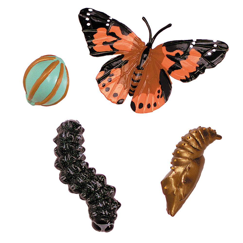 Painted Lady Butterfly Lifecycle stages. 4 figurines out of packaging; egg, caterpillar, chrysalis, butterfly. Plastic and oversized for little hands.