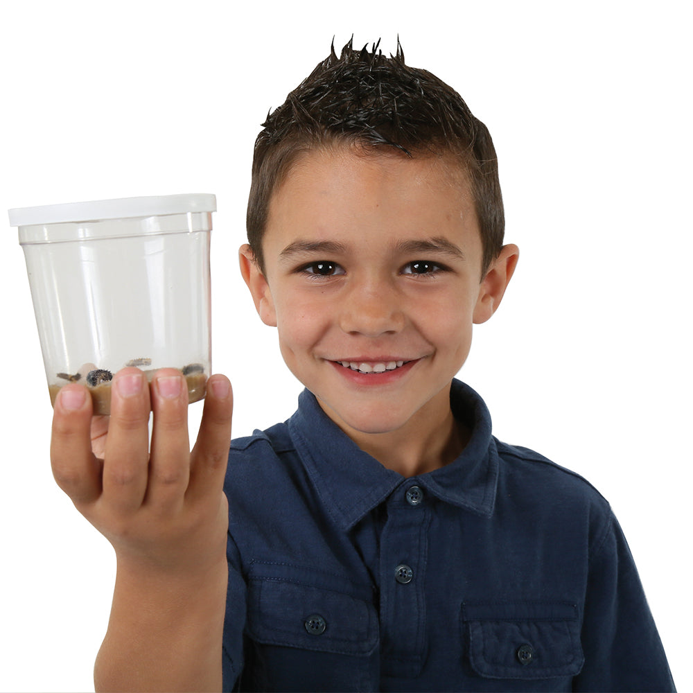 Young Boy holding Cup of Caterpillars. Includes 3-5 LIVE caterpillars and food to watch grow and release as Painted Lady butterflies.
