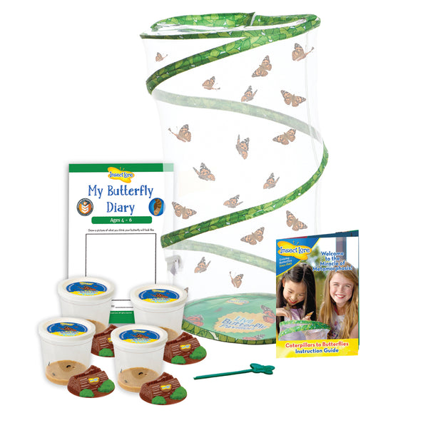 Easy 20 School Kit - Insect Lore Europe