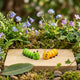 NEW! - Carlos the Caterpillar - Mini Fidget Toy