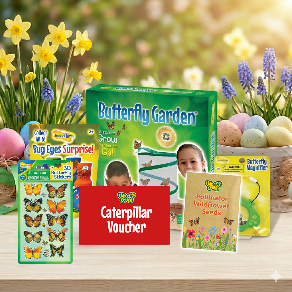 Spring Butterfly Garden Bundle