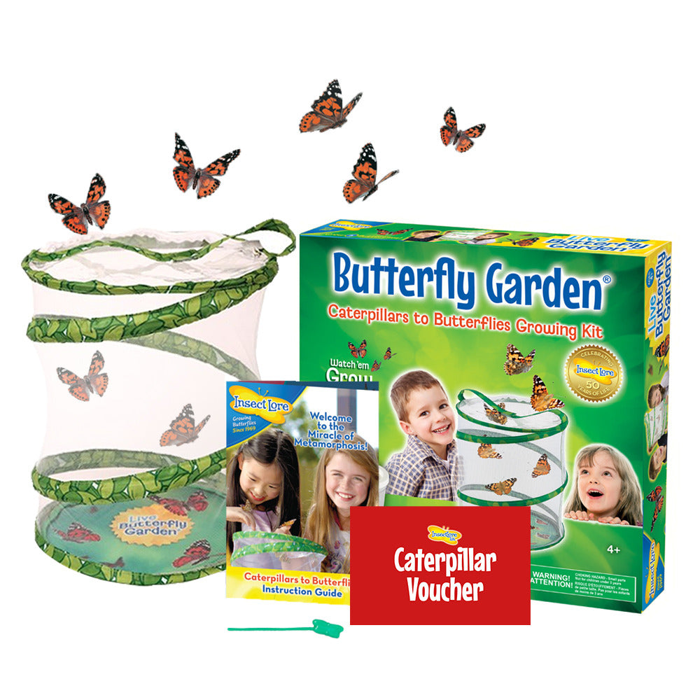 A Butterfly Garden showing a habitat with butterflies, instruction guide, pipette and paper voucher