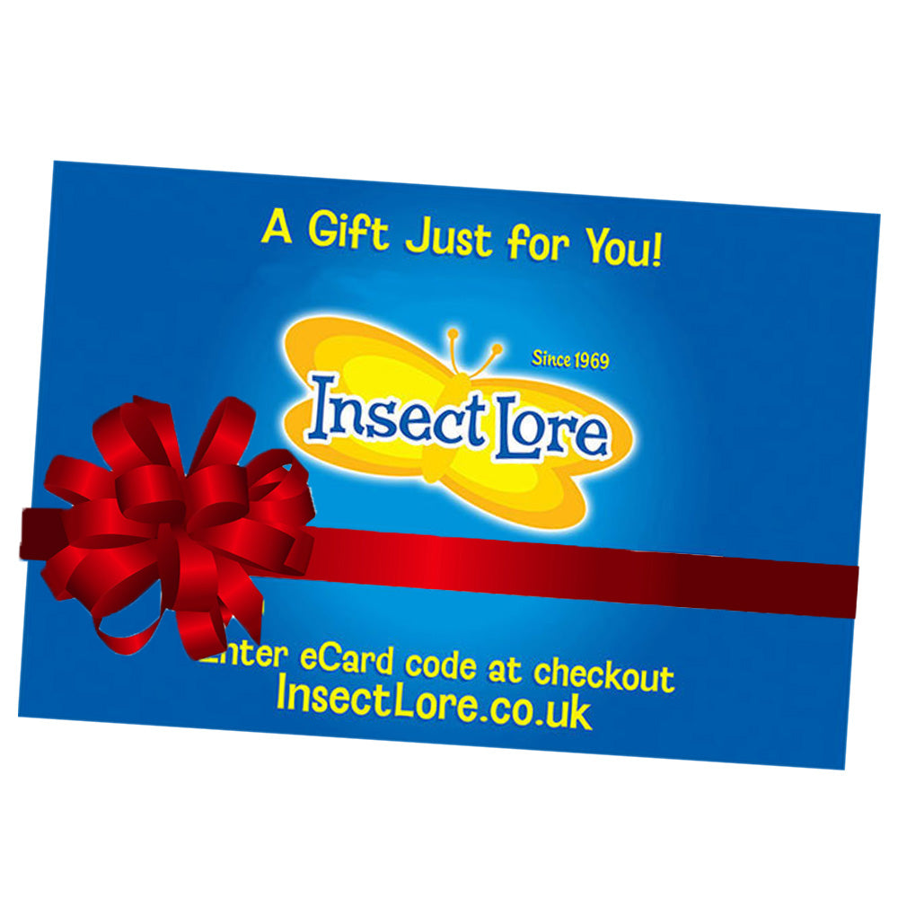 Picture of a blue Insect Lore E-Gift Card with red bow. 