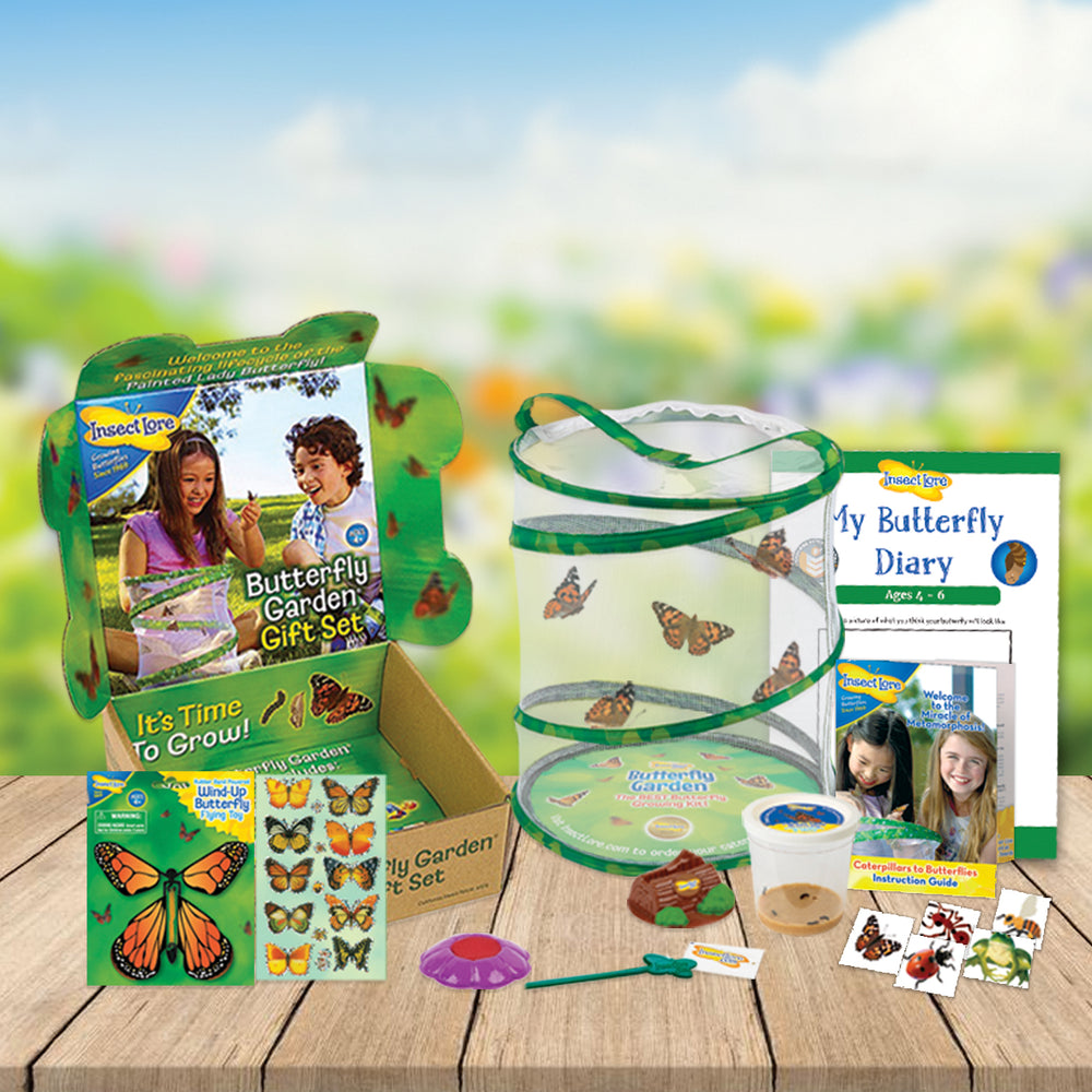 Gift Set includes: Butterfly Garden to grow and release your own butterflies, Bug tattoos, 3D Butterfly Stickers, Wind Up Flying Butterfly, Butterfly Diary, Butterfly Feeder and 3-5 LIVE Caterpillars.