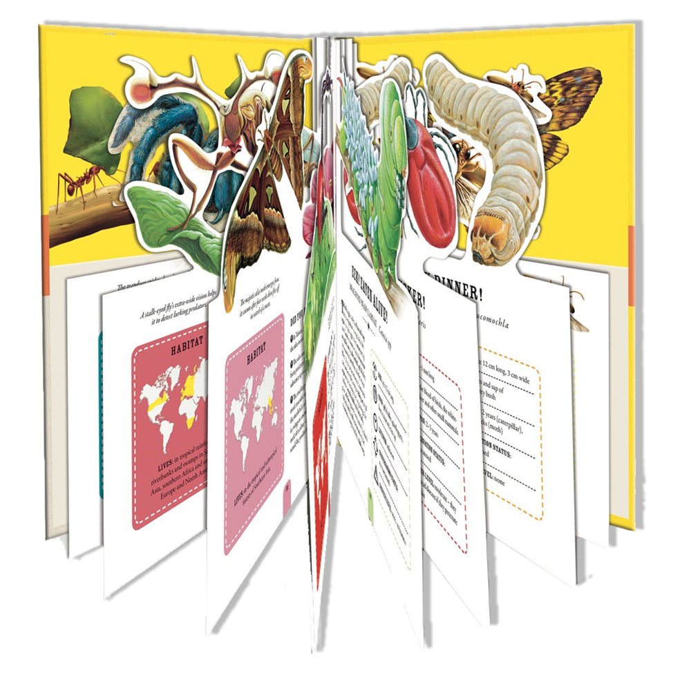 The inside pages of The Incredible World of Bugs. Showing the pop-out sections of each page of which a bug parade can be created. 