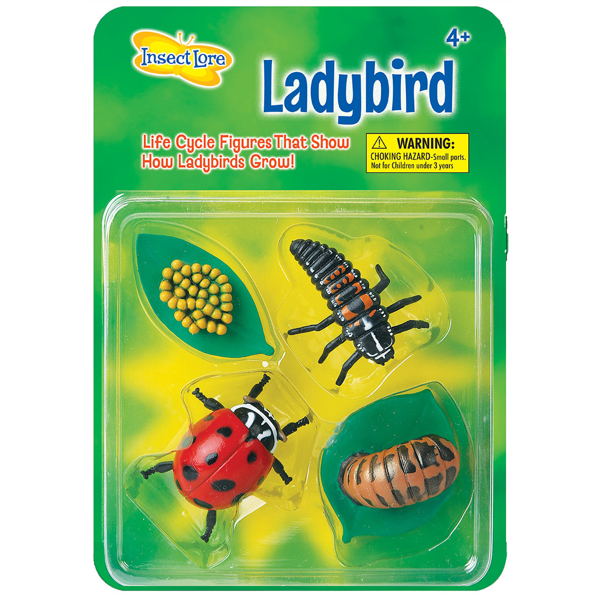 Ladybird Lifecycle stages. 4 figurines in packaging; Eggs on leaf, Larva, Pupa, Adult Ladybird. Plastic and oversized for little hands.