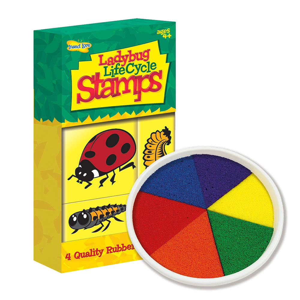 Ladybird Life Cycle Stamps