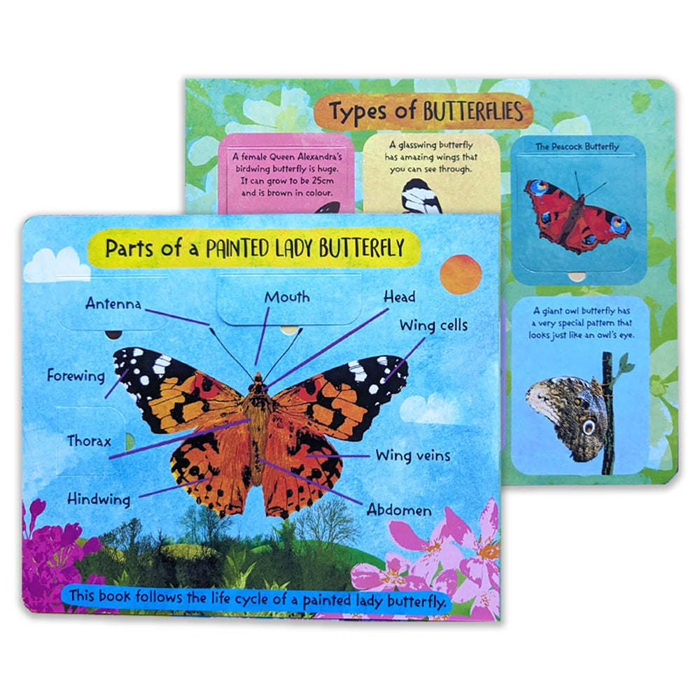 Le cycle de vie des papillons - Livre à rabats 