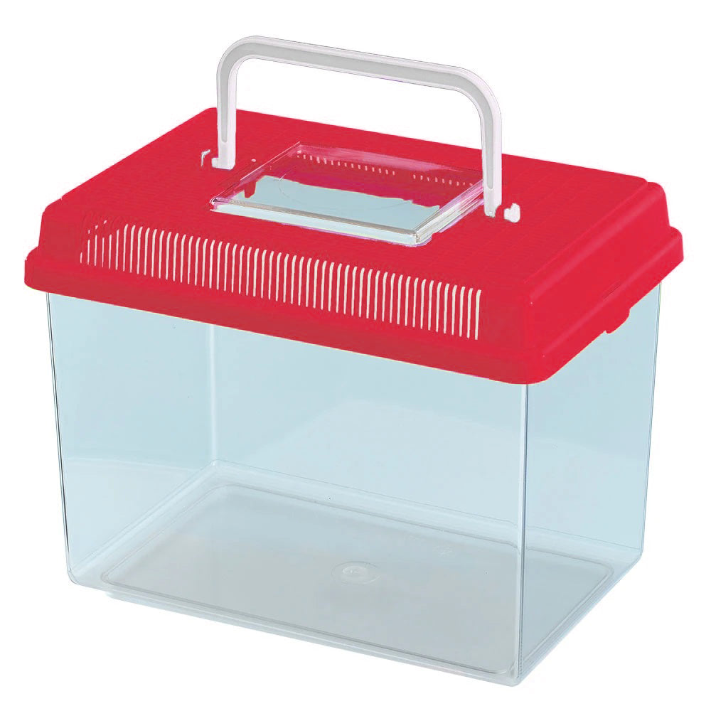 Observation House for bugs, insects, tadpoles and snails. Red lid.