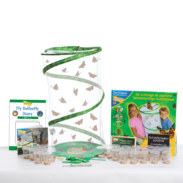 Kit d'élevage de papillons Géant - Bon pour chenilles