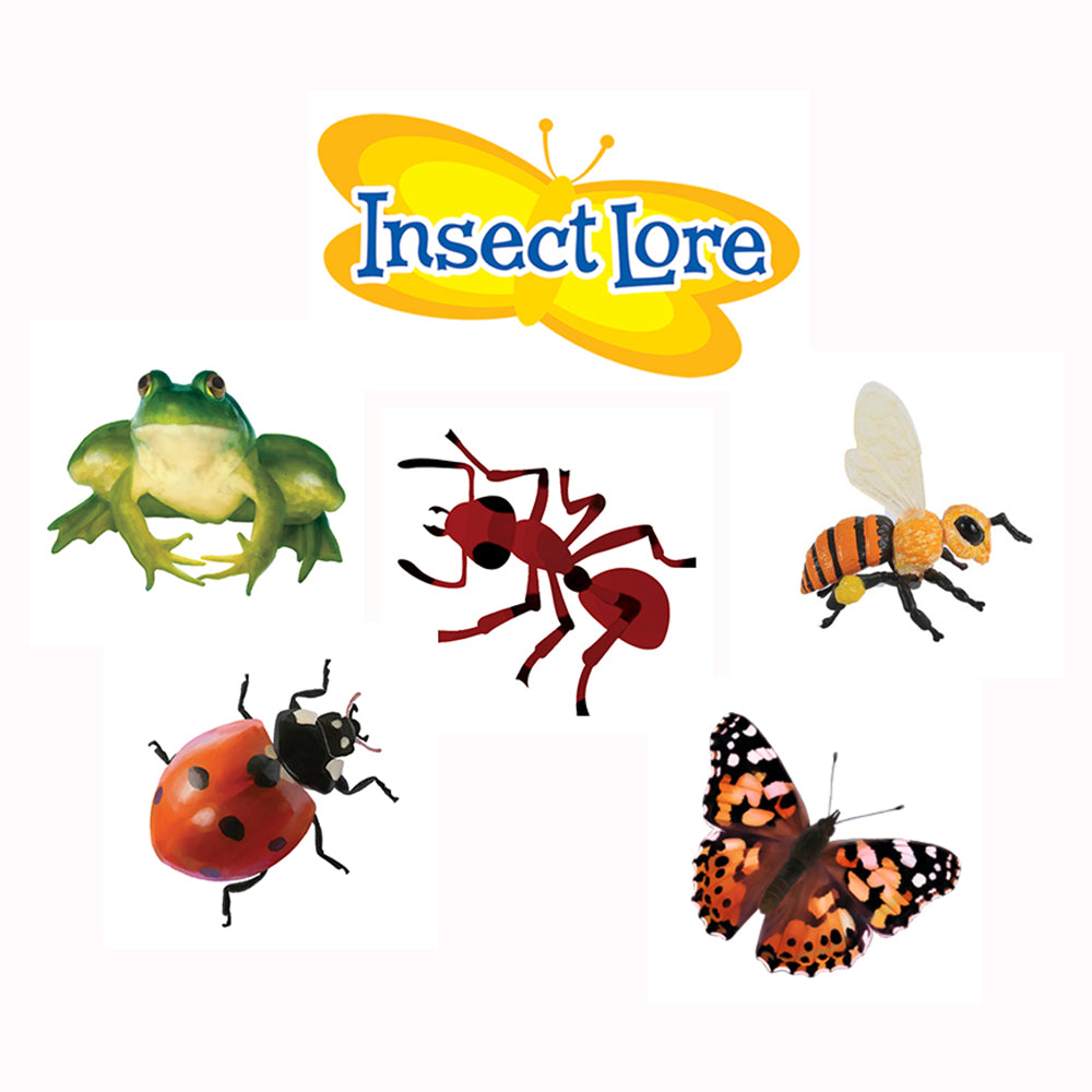 GIANT Butterfly Garden Gift Set - Insect Lore Europe