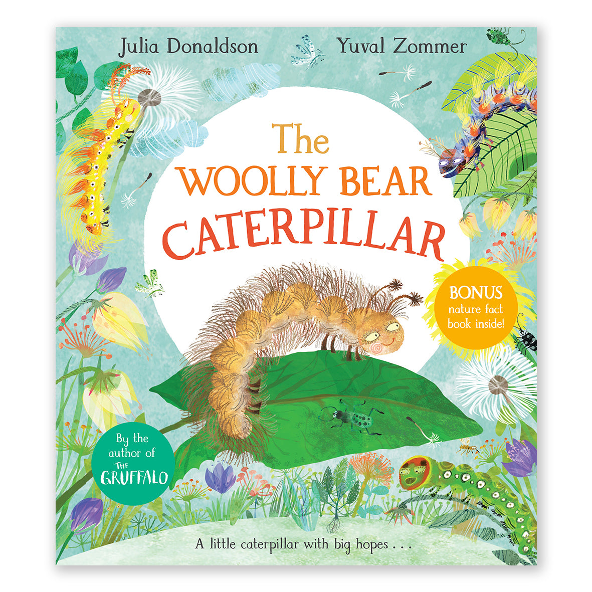 The Woolly Bear Caterpillar by Julia Donaldson. Front cover, A caterpiller with big hopes!