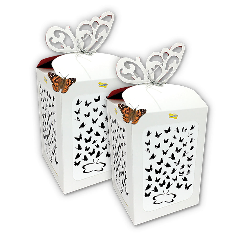 Butterfly Celebration Box surrounded by Butterflies. White box, with butterfly shaped laser cut holes in the side and butterfly shaped closure. Perfect for Weddings, Birthdays, funerals and more.