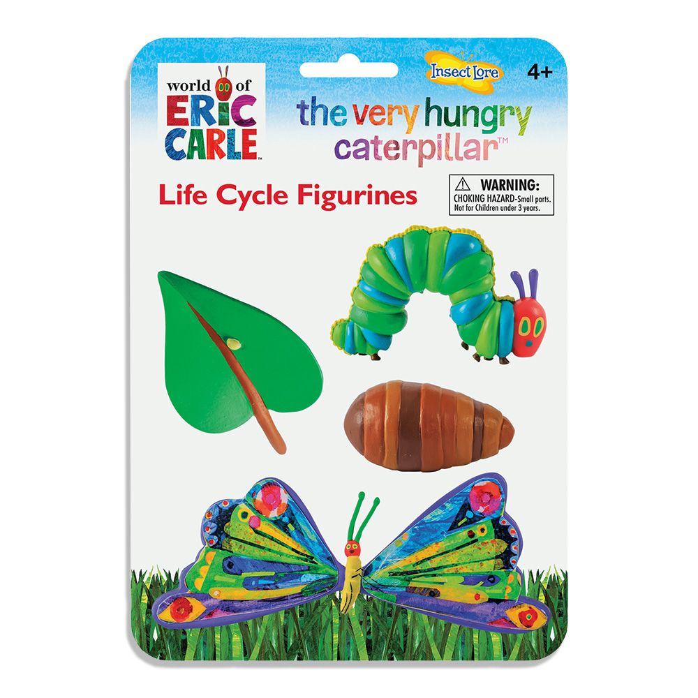 The Very Hungry Caterpillar Lifecycle Stages