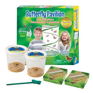 Butterfly Pavilion with 6-10 LIVE Caterpillars