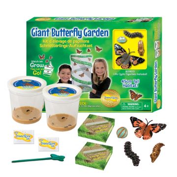 Giant Butterfly Garden showing Voucher Kit and Cups of Caterpillars