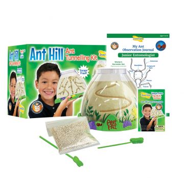 Ant Hill habitat with display box, instruction guide, Paper My Ant Observation Journal, pack of sand with green pipette and tunnel rod.