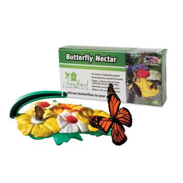 Butterfly Feeder And Nectar Set