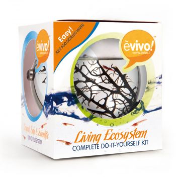 Evivo Living Ecosystem in packaging. Observe shrimp in a self sustaining ecosystem. 