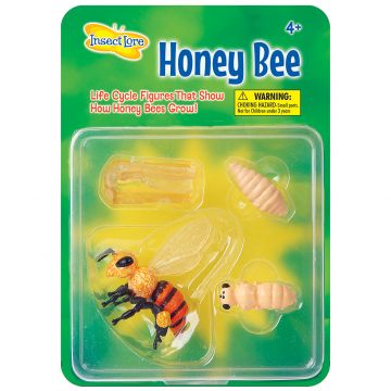 Honey Lifecycle stages. 4 figurines in packaging; Egg in Honeycomb, Larva, Pupa, Adult Honey Bee. Plastic and oversized for little hands.
